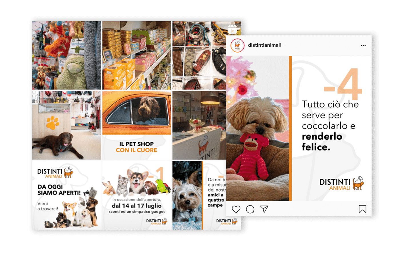 social media marketing negozio di animali firenze