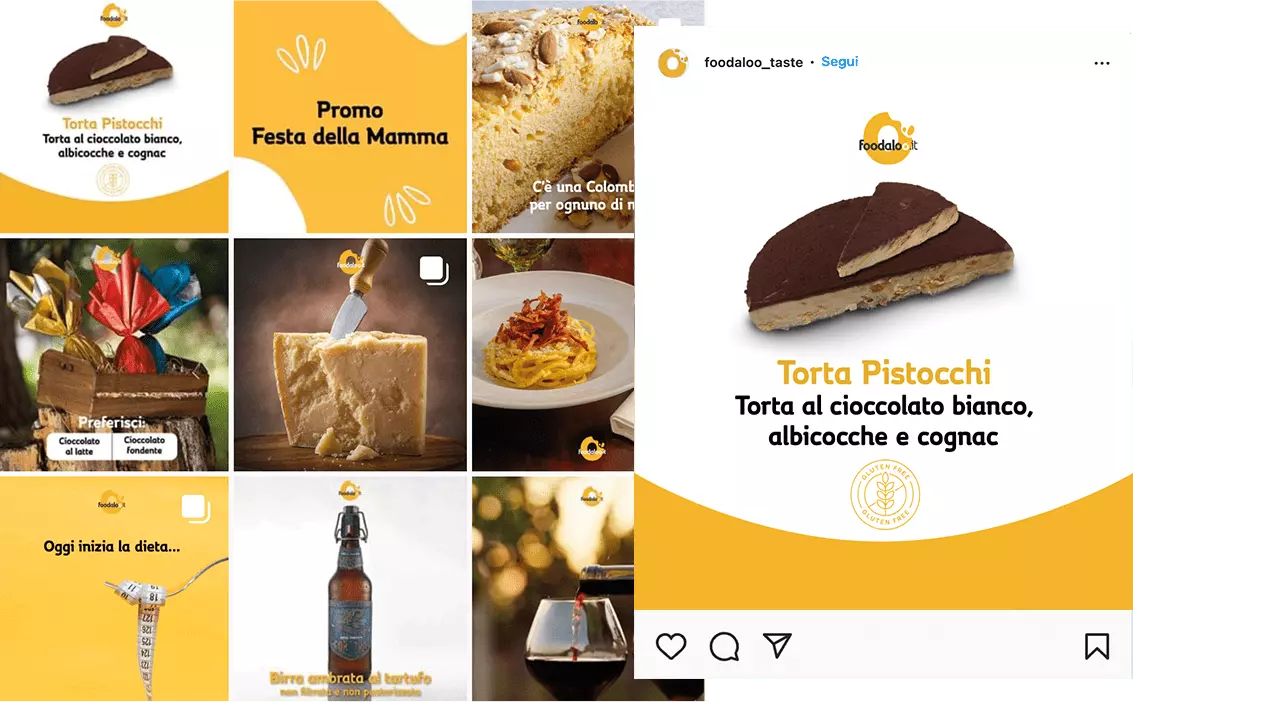 instagram-foodaloo-diseo-agency-firenze-digital-marketing